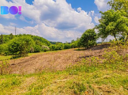 Prodej pozemku pro bydlení, 3 600 m²