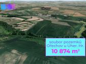 Prodej pozemku, zemědělská půda, 10 874 m²