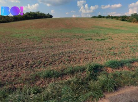 Prodej pozemku, zemědělská půda, 10 874 m²