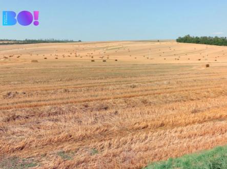 Prodej pozemku, zemědělská půda, 10 874 m²