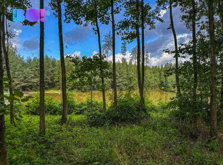 Prodej pozemku pro bydlení, 3 959 m²