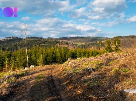 Prodej pozemku, les, 16 557 m²