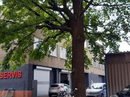 Pronájem kanceláře, 129 m²