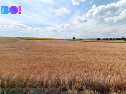 Prodej pozemku, zemědělská půda, 7 618 m²