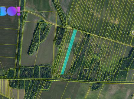 Prodej - pozemek, zemědělská půda, 5 248 m²