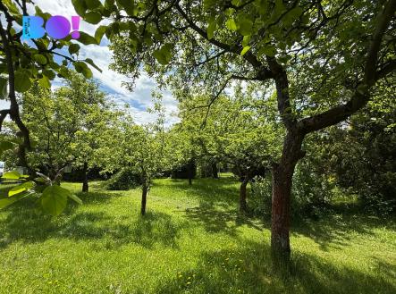 Prodej - pozemek pro bydlení, 1 390 m²