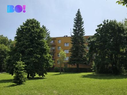 20250606-112452.jpg