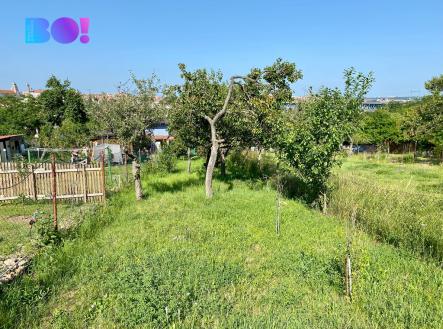 Prodej - pozemek, zahrada, 637 m²