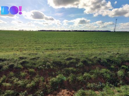 Prodej pozemku, zemědělská půda, 6 305 m²