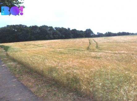 Prodej pozemku, trvalý travní porost, 3 754 m²