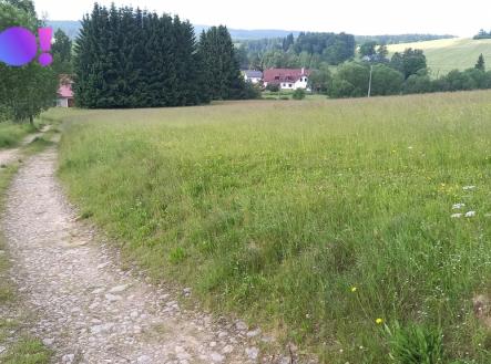 Prodej - pozemek, zemědělská půda, 5 336 m²