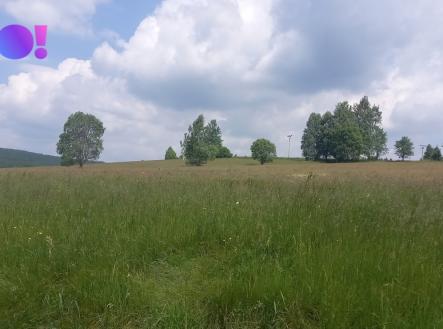 Prodej - pozemek, zemědělská půda, 5 336 m²