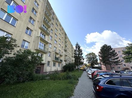 img-1250.jpeg