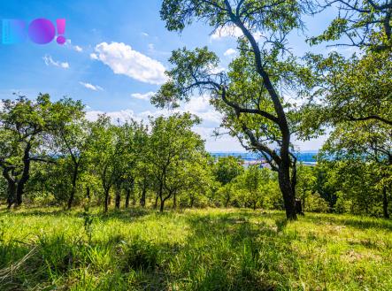 Prodej pozemku, zahrada, 2 632 m²