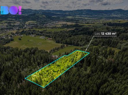 Prodej pozemku, les, 12 430 m²