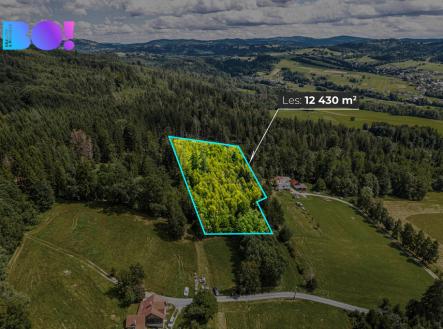 Prodej pozemku, les, 12 430 m²