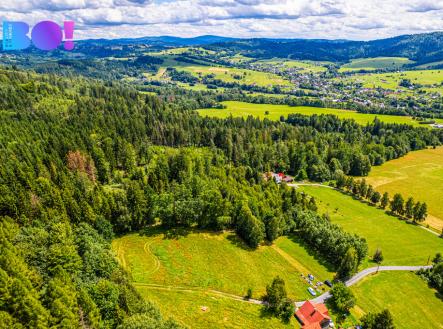 Prodej pozemku, les, 12 430 m²