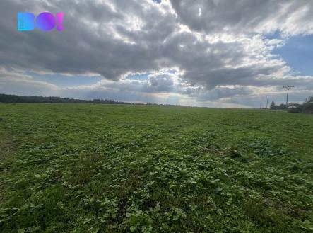 Prodej pozemku pro bydlení, 1 000 m²