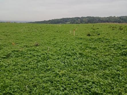 Prodej pozemku pro bydlení, 1 000 m²