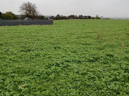 Prodej pozemku pro bydlení, 1 000 m²