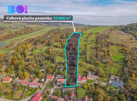 Prodej pozemku pro bydlení, 10 000 m²