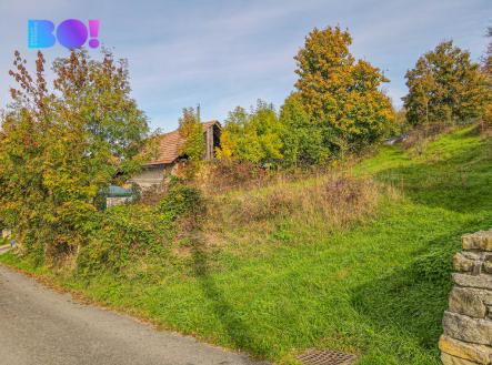 Prodej pozemku pro bydlení, 10 000 m²