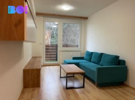 Pronájem bytu, 2+1, 50 m²