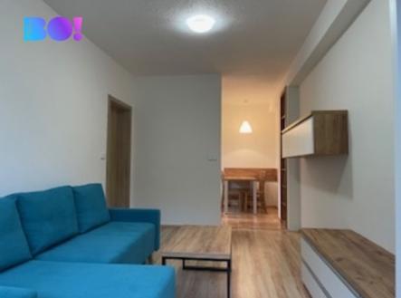 Pronájem bytu, 2+1, 50 m²