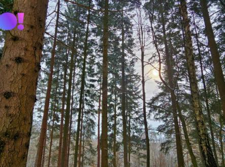 Prodej pozemku, ostatní, 17 190 m²