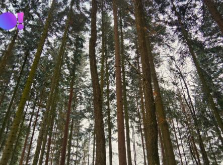 Prodej pozemku, ostatní, 17 190 m²