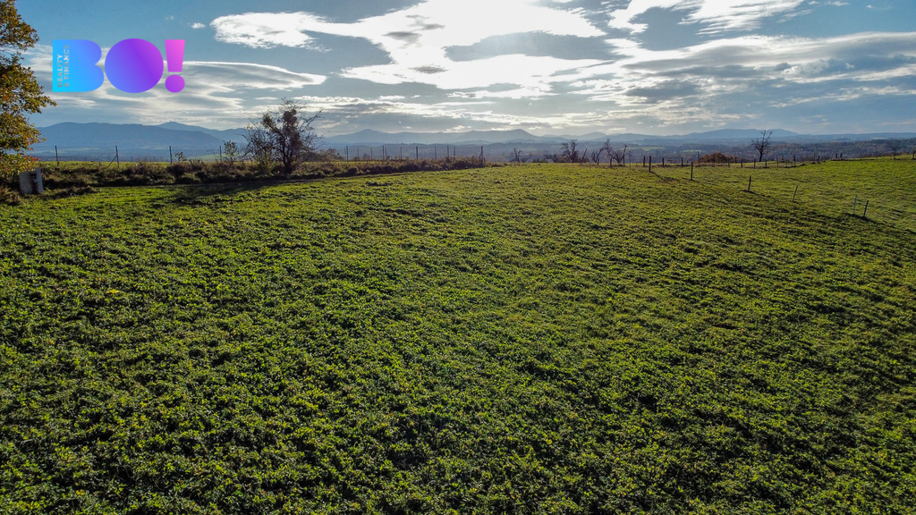 dji-fly-20231107-141424-963-1699363146224-photo-optimized.jpg