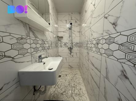 Pronájem bytu, 1+1, 249 m²