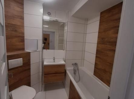 Pronájem bytu, 2+1, 34 m² obrázek