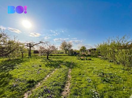 Prodej domu/vily, 350 m²