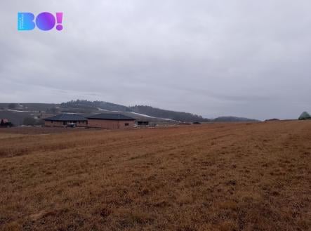 Prodej pozemku, trvalý travní porost, 20 000 m²