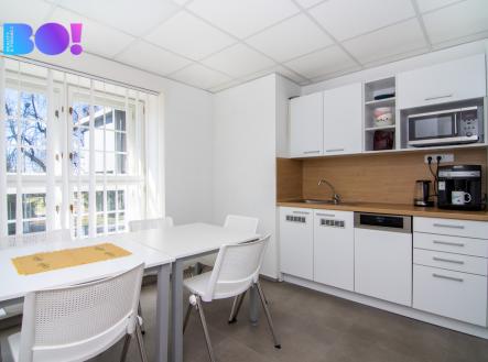 Pronájem obchodní prostor, 365 m²