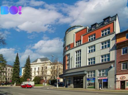 Pronájem obchodní prostor, 365 m²