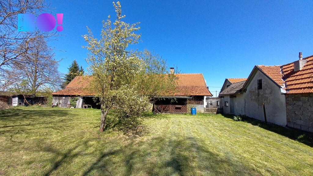 260511-rousmerov-2.jpg