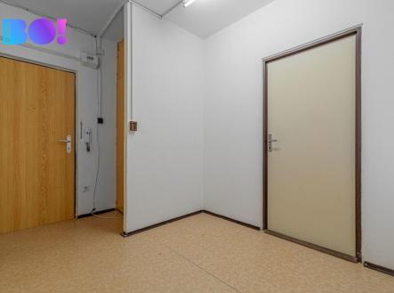 Pronájem bytu, 1+1, 51 m²