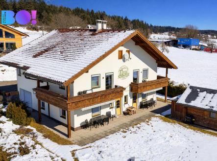 Orchid Casel de Paradise.