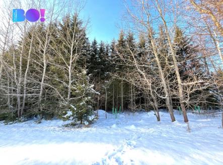 Prodej pozemku, les, 43 856 m²