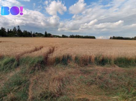 Prodej pozemku, zemědělská půda, 29 929 m²