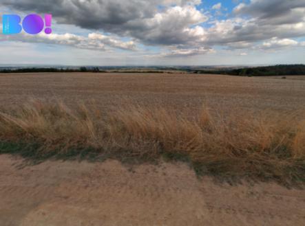 Prodej pozemku, zemědělská půda, 29 929 m²