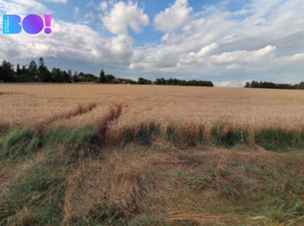 Prodej pozemku, zemědělská půda, 29 929 m²