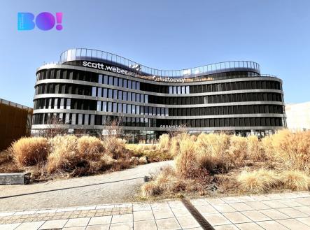 Pronájem obchodní prostor, 300 m²