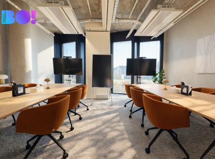 Pronájem obchodní prostor, 300 m²