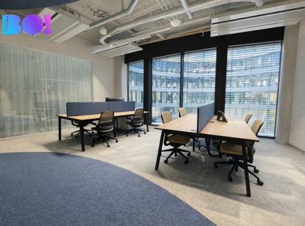 Pronájem obchodní prostor, 300 m²