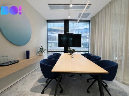 Pronájem obchodní prostor, 300 m²