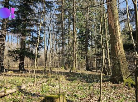 Prodej pozemku, les, 55 558 m²