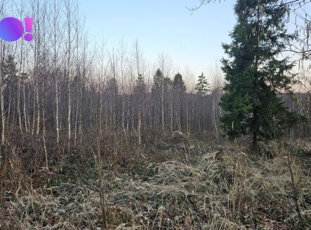 Prodej pozemku, les, 55 558 m²